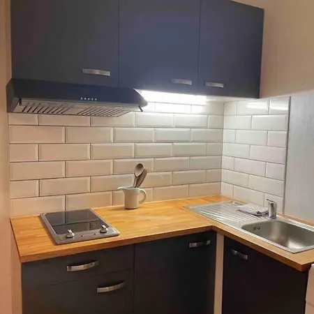Lägenhet Mont-sur-lausanne: Studio Tres Cosy ! *